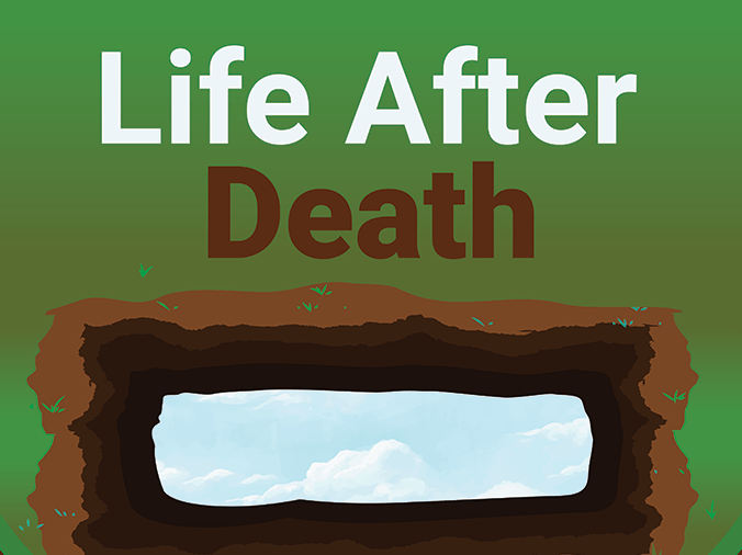 Life After Death: An Infographic on the Journey Beyond